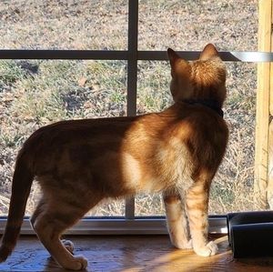 Meet your Posher, Janet